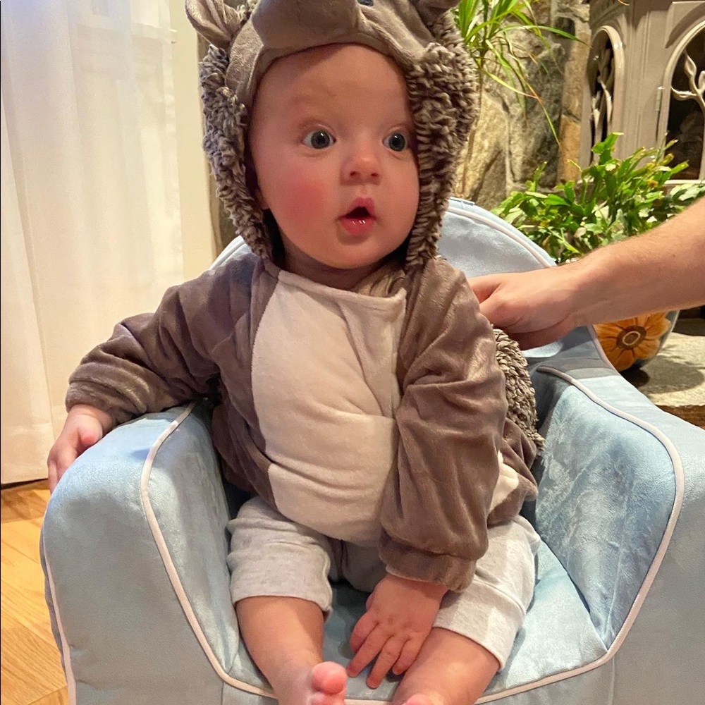 Hedgehog costume